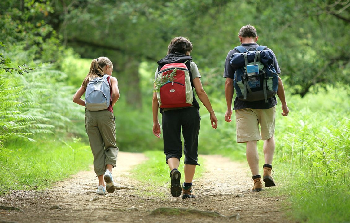Trois randonneurs portant des sacs à dos marchent sur un sentier forestier bordé de fougères.
