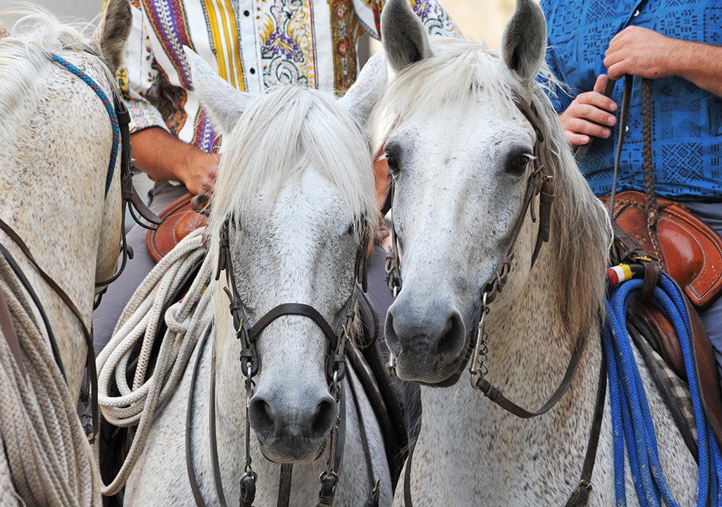 Feria avec cavaliers sur chevaux séjour Pays Basque Camping Le Ruisseau