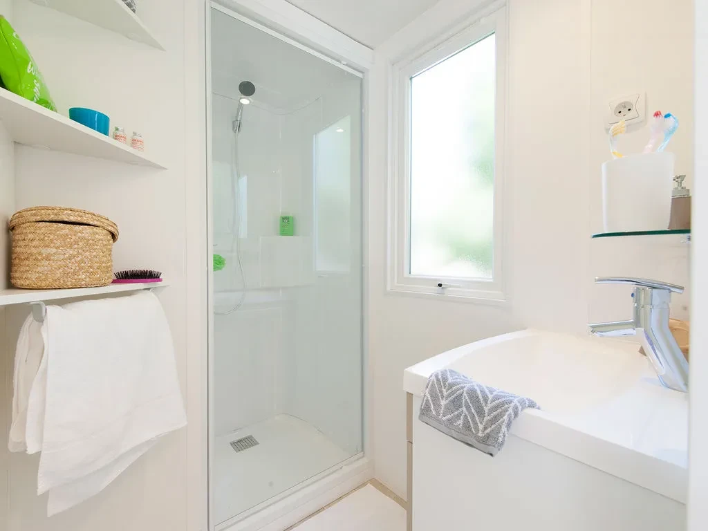 Salle d’eau avec cabine de douche vitrée, lavabo et étagères de rangement.