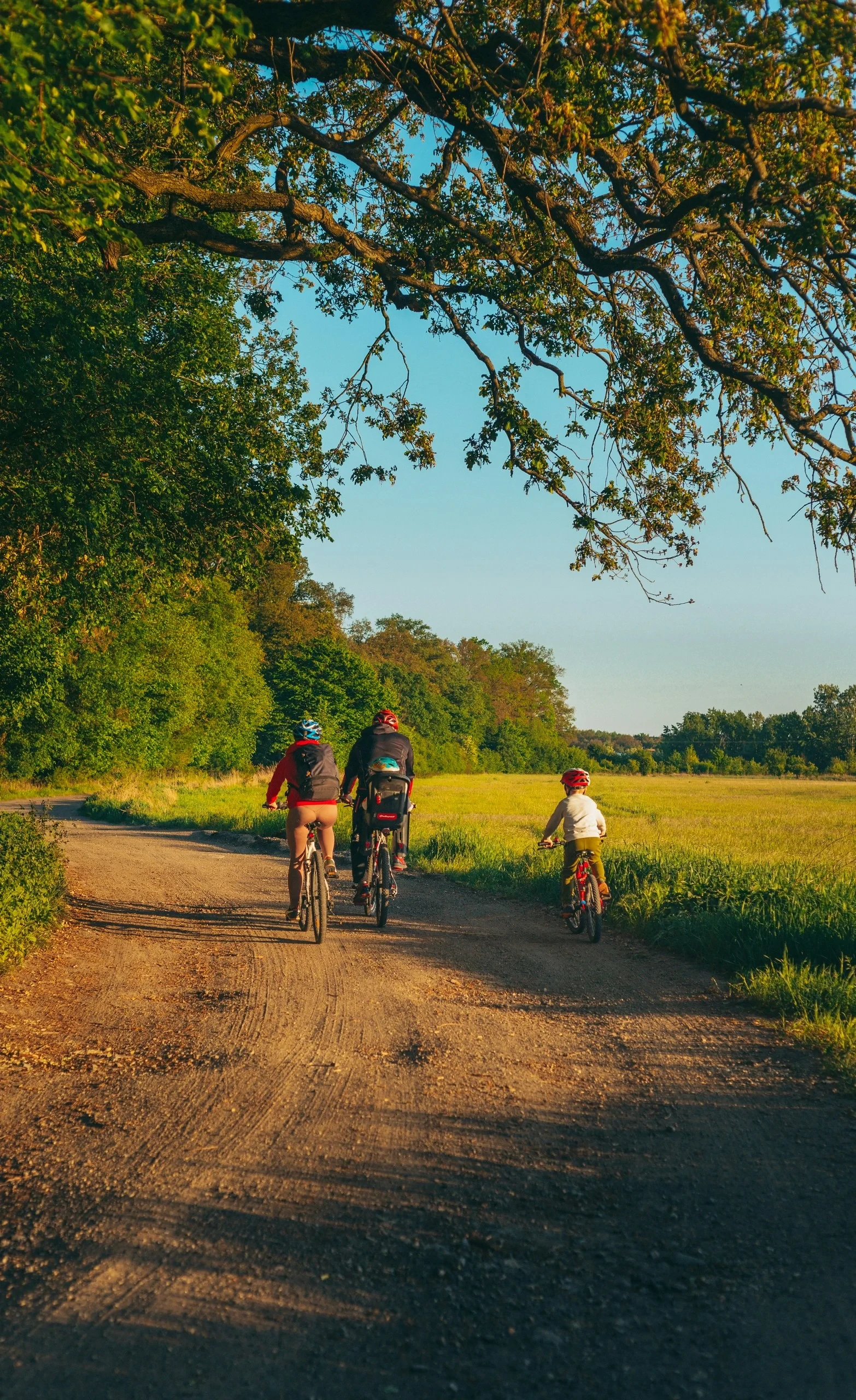 Deux adultes à vélo, dont l’un transporte un enfant sur un siège arrière, et un enfant cycliste suivent un chemin entre arbres et prairie.