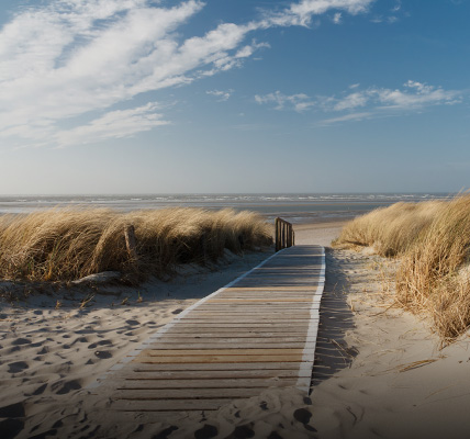 Passerelle en bois traversant les dunes vers une plage et l’océan.
