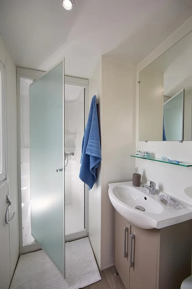 Salle de bain avec douche à porte vitrée dépolie et lavabo sur meuble de rangement.