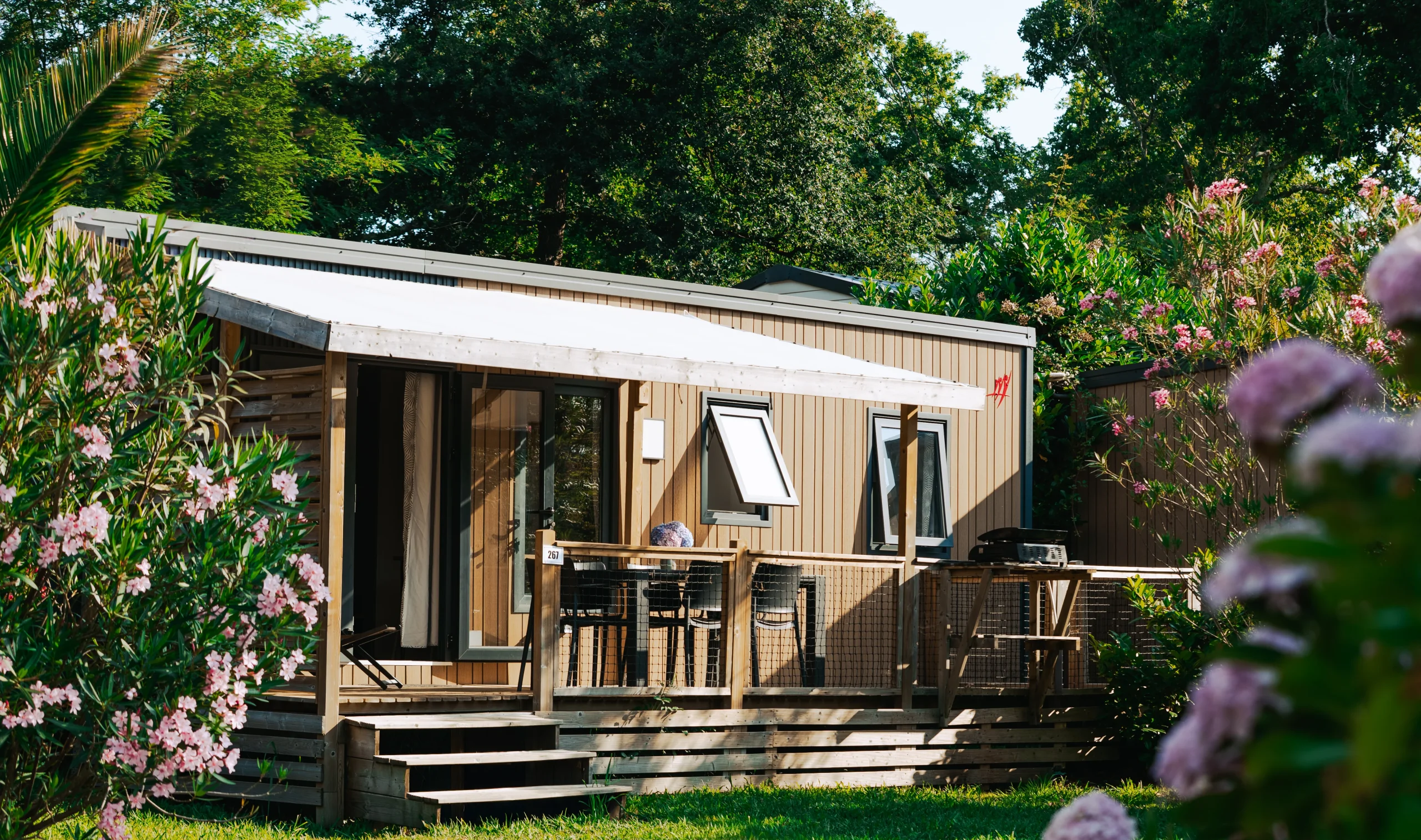Hébergement insolite vers Biarritz au Camping le ruisseau, avec bardage en bois et terrasse couverte entourée de végétation.