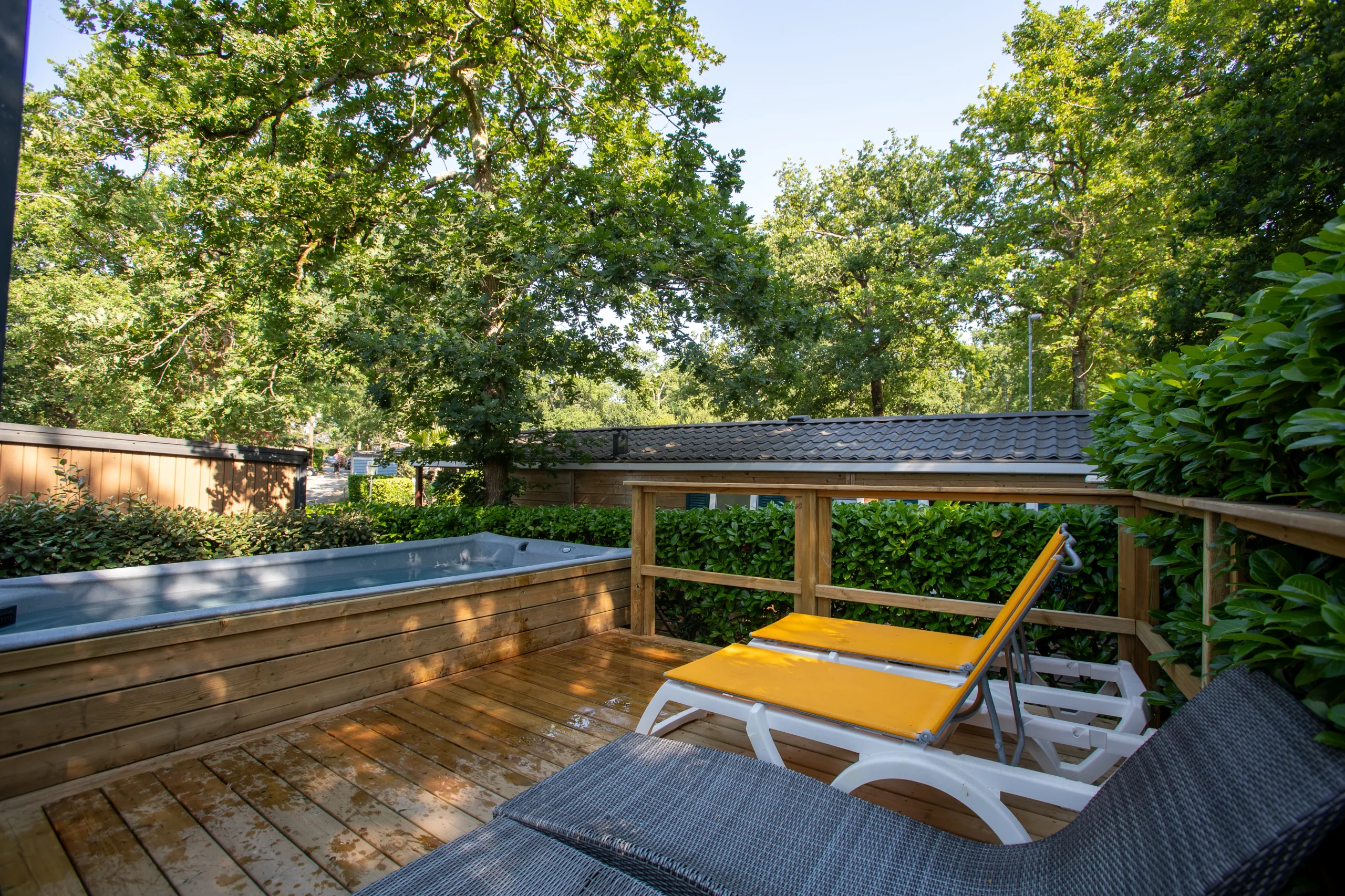 Bassin à remous et transats sur une terrasse en bois entourée de haies et de grands arbres.